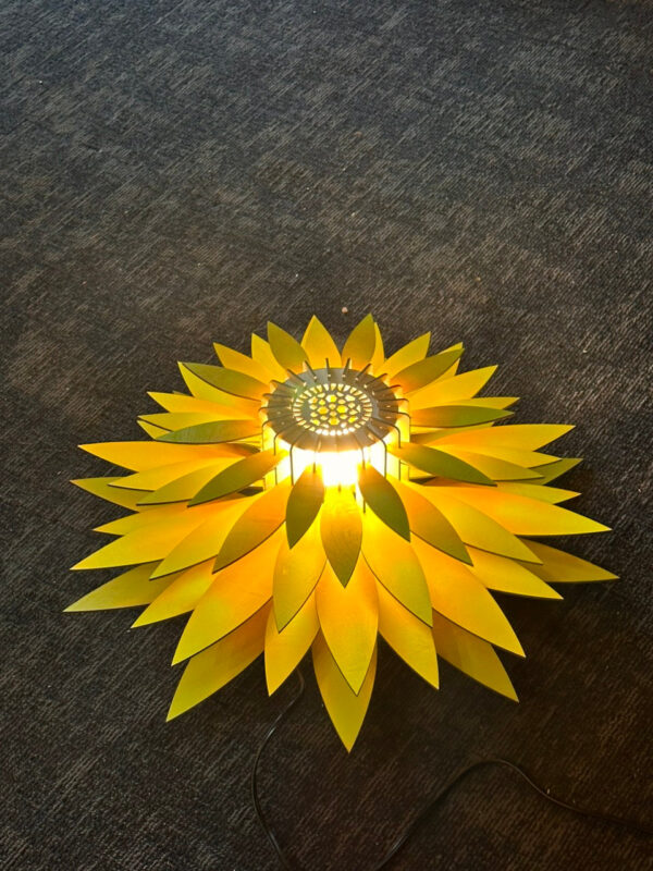 z4865597213710_8052a0e3d3c020e26d3149ec0b806974