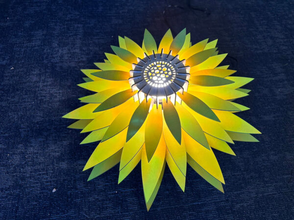 z4865597268939_43cdd8ae6a4e83eb8f415c407b9cd617